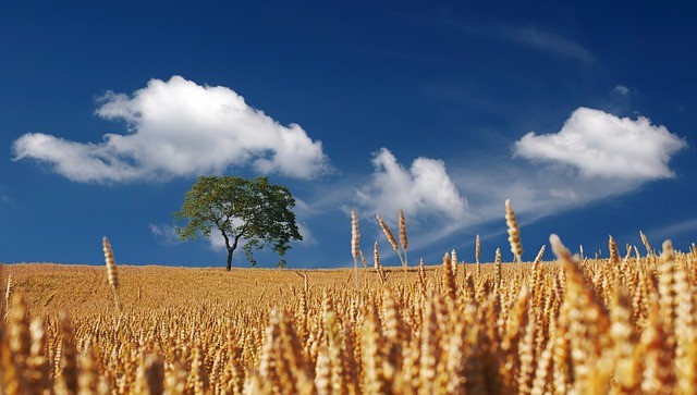 Agroturystyka i dywersyfikacja działalności agroturystycznej