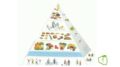 Piramida żywienia seniorów